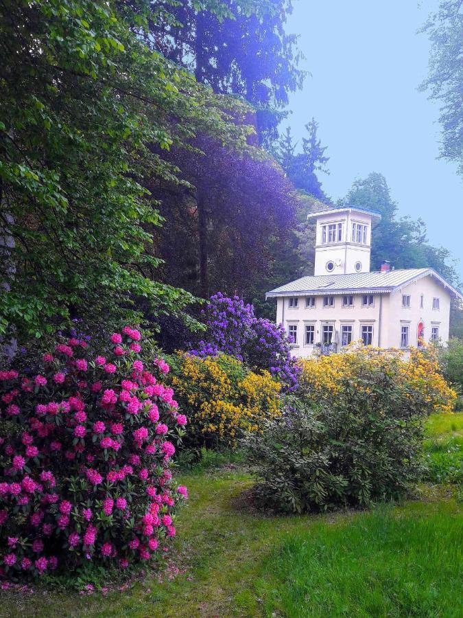 Rapunzel Trifft Dornroeschen Villa Rosenthal-Bielatal Dış mekan fotoğraf