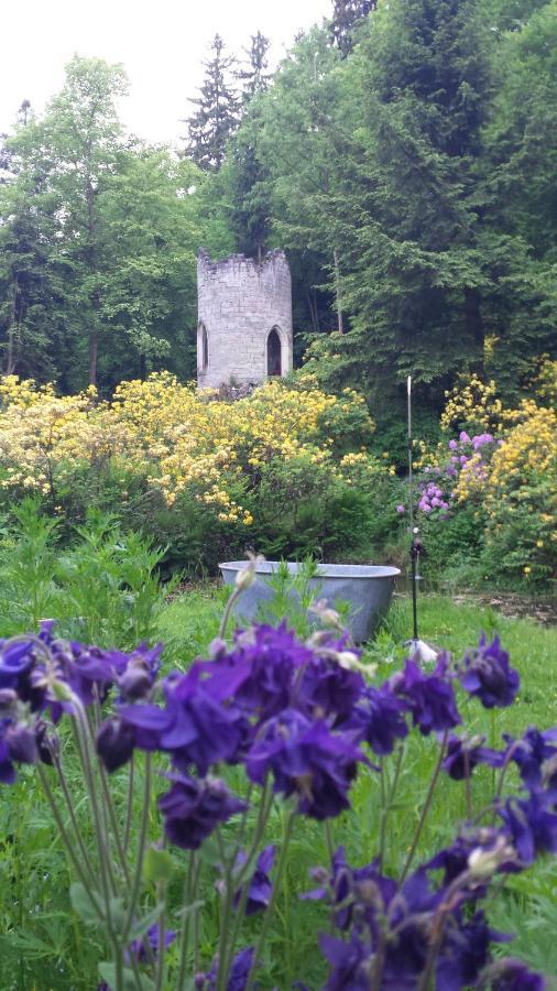 Rapunzel Trifft Dornroeschen Villa Rosenthal-Bielatal Dış mekan fotoğraf