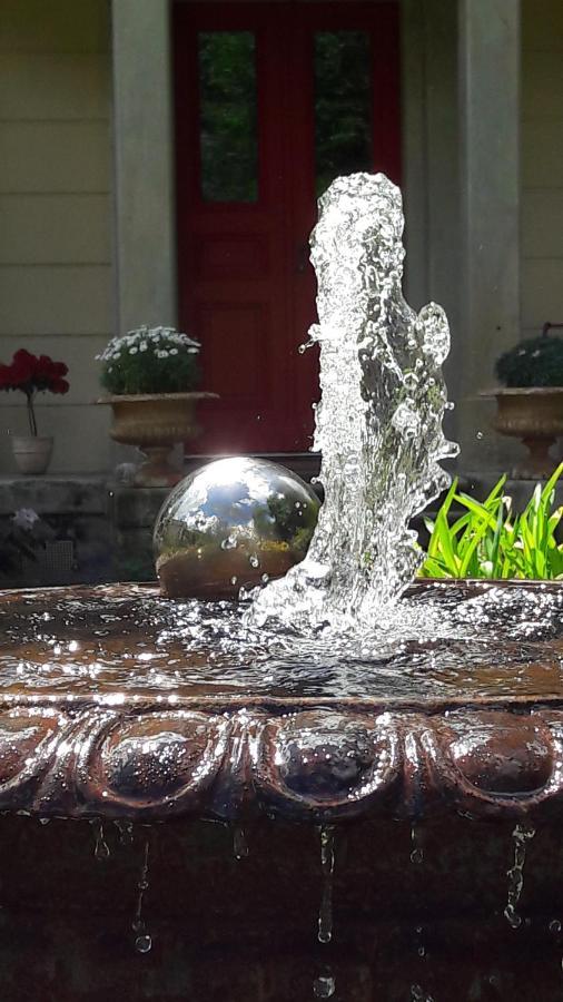 Rapunzel Trifft Dornroeschen Villa Rosenthal-Bielatal Dış mekan fotoğraf