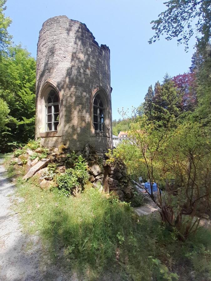 Rapunzel Trifft Dornroeschen Villa Rosenthal-Bielatal Dış mekan fotoğraf