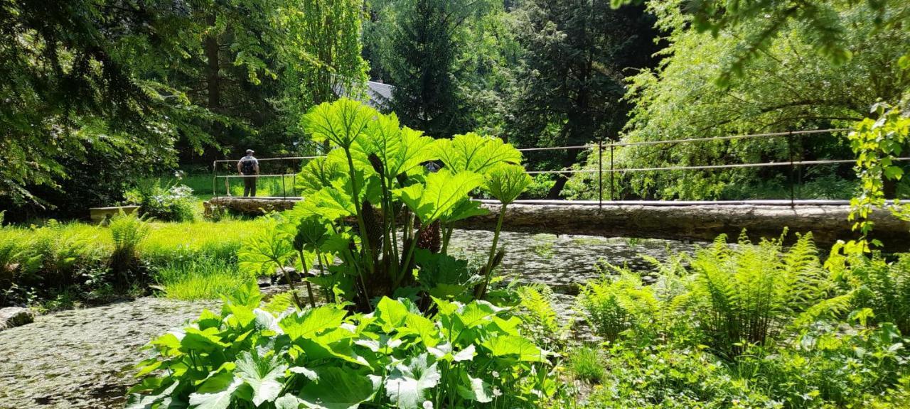Rapunzel Trifft Dornroeschen Villa Rosenthal-Bielatal Dış mekan fotoğraf
