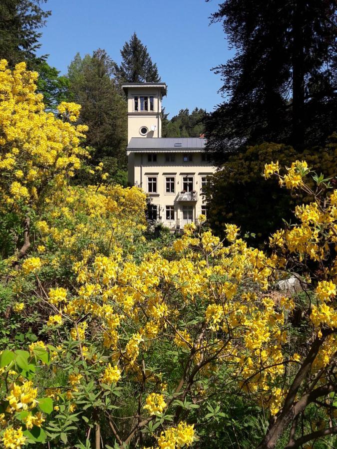 Rapunzel Trifft Dornroeschen Villa Rosenthal-Bielatal Dış mekan fotoğraf